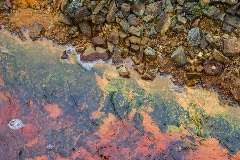 A Sustainable Technique to Produce Hydrogel Composites for Wastewater Decontamination