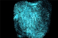 Fluorescent Polymer Used to Illuminate Invisible Bloody Fingerprints