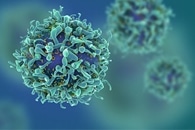Scientists Review Materials Used to Design Biosensors for COVID-19 Detection
