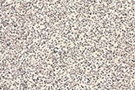New Ion-Selective Smart Porous Membrane Responds to Outer Stimuli