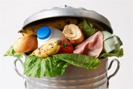 New Method Recycles Discarded Fruit and Vegetable Scraps into Robust Construction Materials