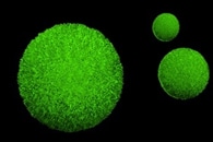Nanomaterials' Ability to Pass Through the Blood Brain Barrier Depends on Their Shape and Form