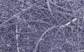 One-Step Method Creates a Buoyant Cotton Fabric for Life Jackets and Swimsuits