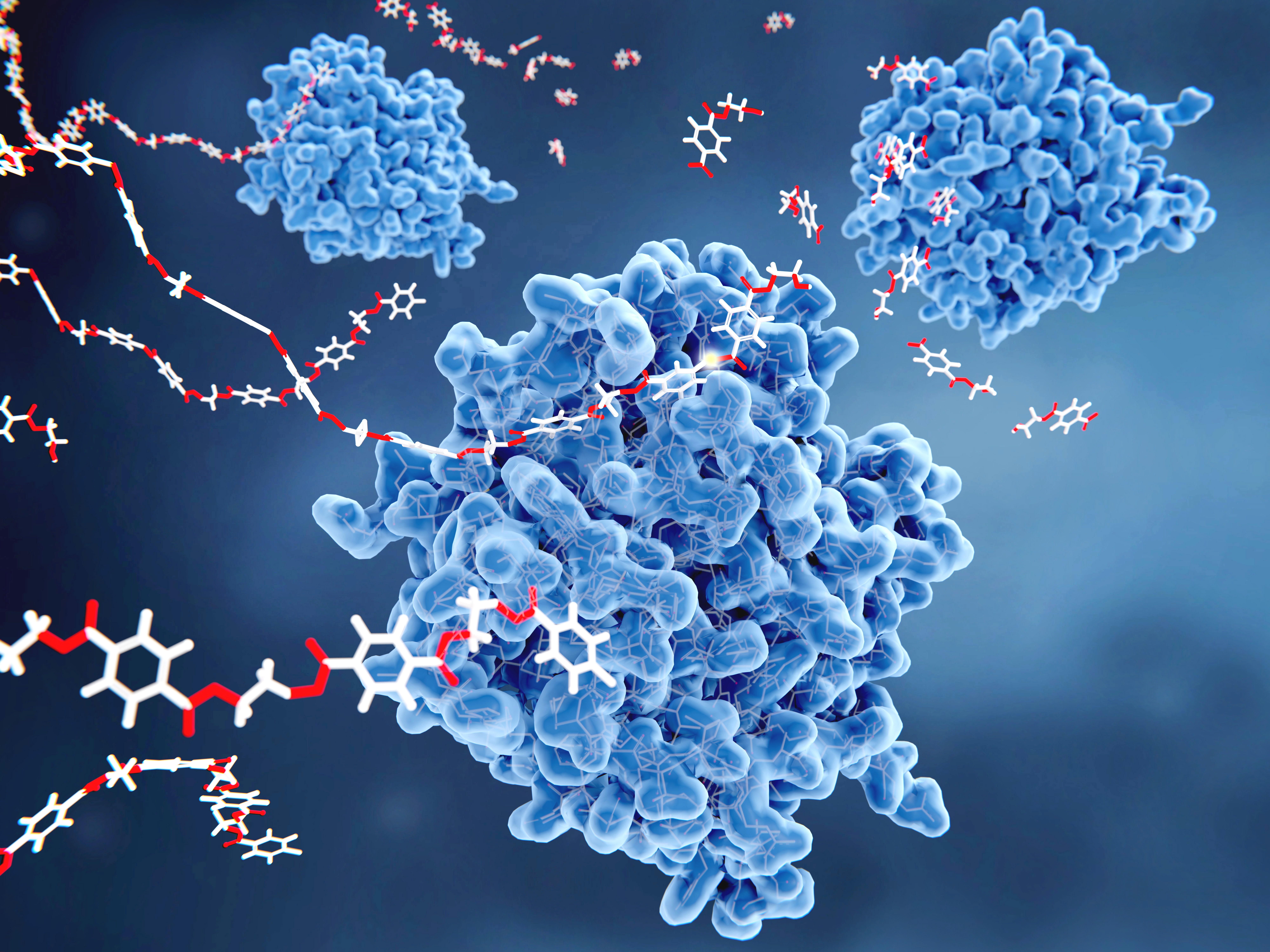 Bioplastics can be Chemically Transformed into Nitrogen-Rich Fertilizers