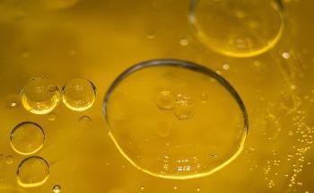 CEM Launches New Technology for Rapid Fat/Oil Analysis