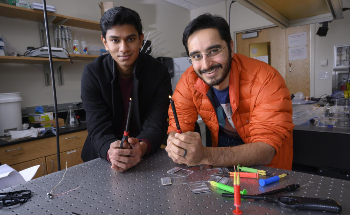 Electroporator Built Using Piezoelectric Crystal from a Butane Lighter