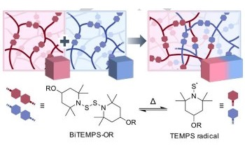 New Method Enables Efficient Fusion of Different Cross-Linked Polymers