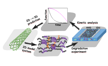 Thin Film Studies Helps Analyze Degradation of Complex Biomacromolecules