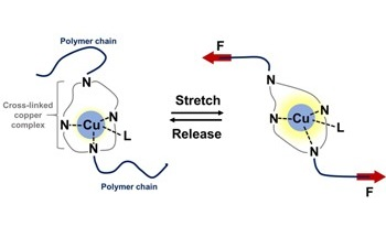 Stress-Detecting Smart Polymer Shines Brighter Upon Stretching