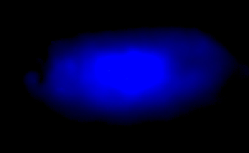 New Halide Perovskite Crystal Emits Blue Light