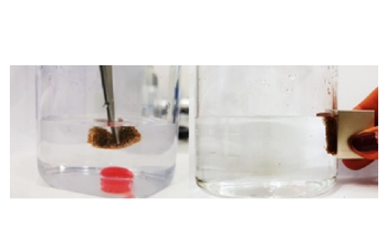 New Superhydrophobic Material can Purify Water Effectively from Oil Products