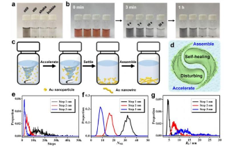 The Unconventional Self-Healing Behavior in Noble Metal Gels