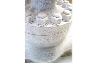 Cryogenic VICTREX CT Polymer Selected by Advanced Engineering Valves after Meeting Shell MESC Specifications