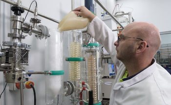 Technology to Make Flexible Phone Screen Chemicals Kicks off New Industry Partnership for South Korea and Australia