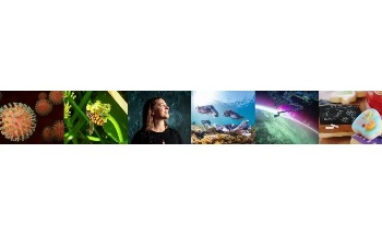 Deep Fake Videos, Imploding Watermelons, and Sautéed Spiders: a Taste of National Science Week