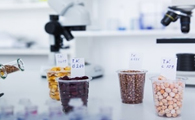 Bubble Analysis Could Help Solve Problems in Food Processing Applications