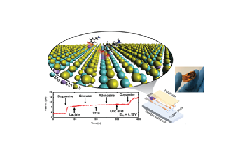 2D Materials-Based Dopamine Detector Facilitates Early Diagnosis of Medical Disorders
