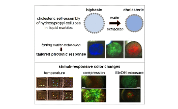 Liquid Marbles Used to Achieve Self-Assembly of Biopolymer-Based Structural Colors