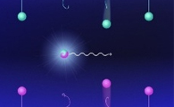 Materials Scientists Discover Way to Imitate Natural Spring-Loaded Snapping Without Energy Loss