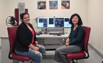 QUT Embraces Automated Mineralogy with the Installation of a TESCAN TIMA