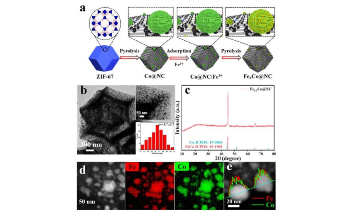 Low-Cost Alloy Catalyst Enables Selective Hydrogenation of Cinnamaldehyde