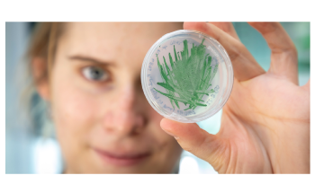 Researchers Increase Catalytic Activity of Cyanobacteria for Use in Biotechnology
