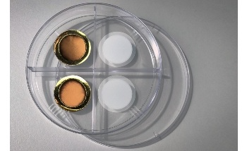 New System Could Help Continuously Remove CO2 from Waste Gases or Air