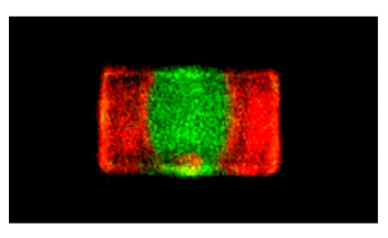 Metal-Halide Perovskites Could Help Develop Efficient Solar Photovoltaics
