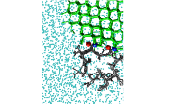 New Computational Method to Model Ice Binding Using a Biasing Technique