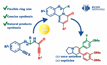 Simple, Accurate Method to Produce Analogs of Antofine and Septicine