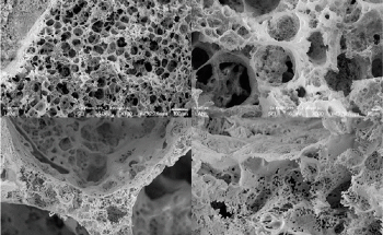 New Process Could Help Produce Safe, Sustainable Nuclear Fuels