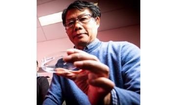 Game-Changer in Thermoelectric Materials: Decoupling Electronic and Thermal Transport