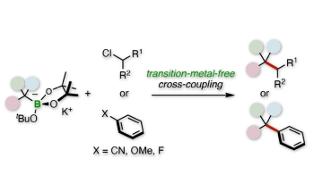 New Cross-Coupling Reaction Could Help Make Chemical Industry More Sustainable