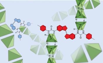 Study Offers New Insight into Molecular Interactions of Dihydrogen Phosphate Anions