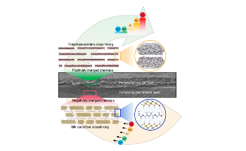 Researchers Determine New Ways to Extract Lithium Ions