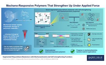 New Polymer Shows Color-Changing and Self-Strengthening Abilities