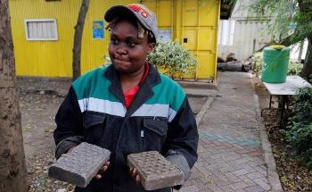 The Newly Developed Plastic Waste Bricks Used for Construction