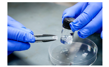 New Flexible Crystal may Lead to More Efficient Bendable Electronics