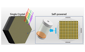 Efficient Strategy to Obtain High-Quality Perovskite Single Crystals