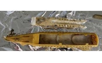 COVID Breakthrough: 'Torpedo' Device Targets SARS-CoV-2 Hotspots in Wastewater