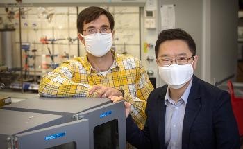 New Way to Use Lignin from Plants in Battery Electrolytes