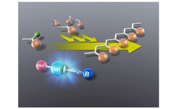 Research Makes Living Cationic Polymerization More Efficient, Eco-friendly