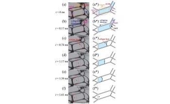 Study Unravels the Intricate Mechanics Behind Foam Collapse