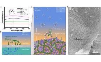 Researchers Create Turing Structure on Inorganic Transition Metal Chalcogenides