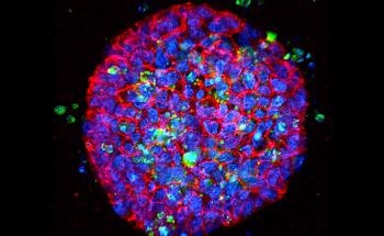 The Olympus Discovery Summit Virtually Connects the Microscopy Community