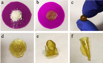 Chemists Synthesize Plant-Based Polymers from Biomass