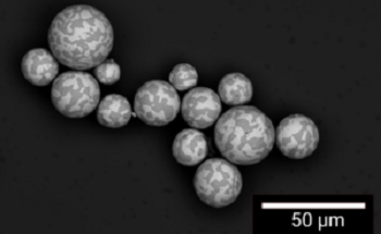 TESCAN FIB-SEM Software Upgrade Brings New Options for Advanced 3D Data Acquisition and Visualization