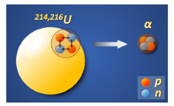Study Shows Abnormal Enhancement of a-Particle Clustering in Uranium Isotopes