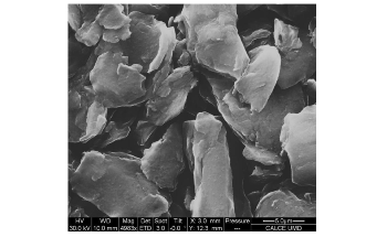 New Algorithm to Predict Degradation of Capacitors Operated at High Temperature