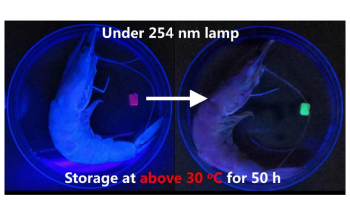 Two-Luminogen Hydrogel Chemosensor Detects Seafood Freshness by Changing Color